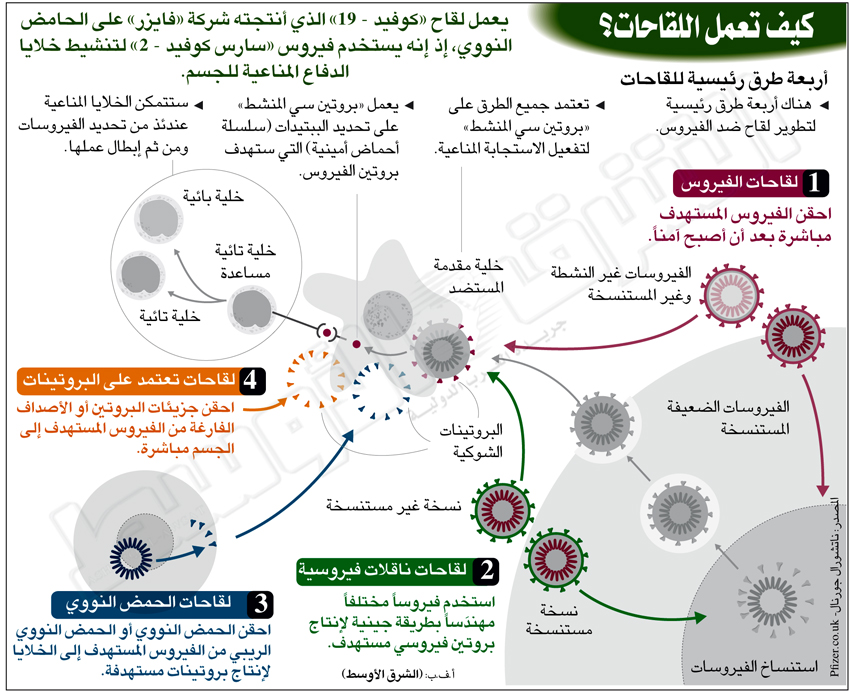 how vaccines work1685183523