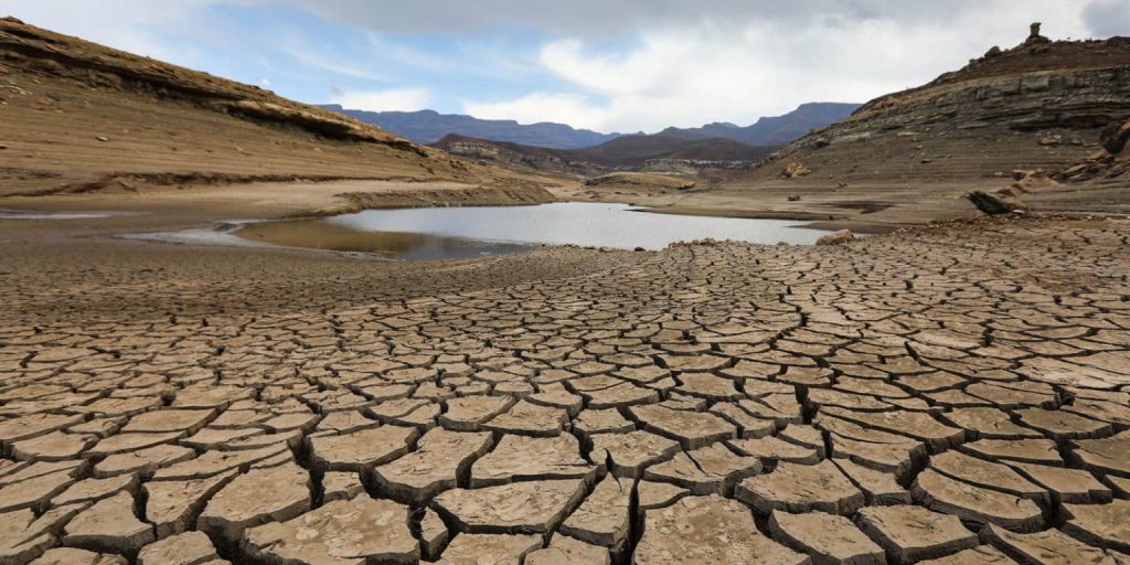 Yogi sisuluDrought option 1 1600x800 1 1536x7681689089703