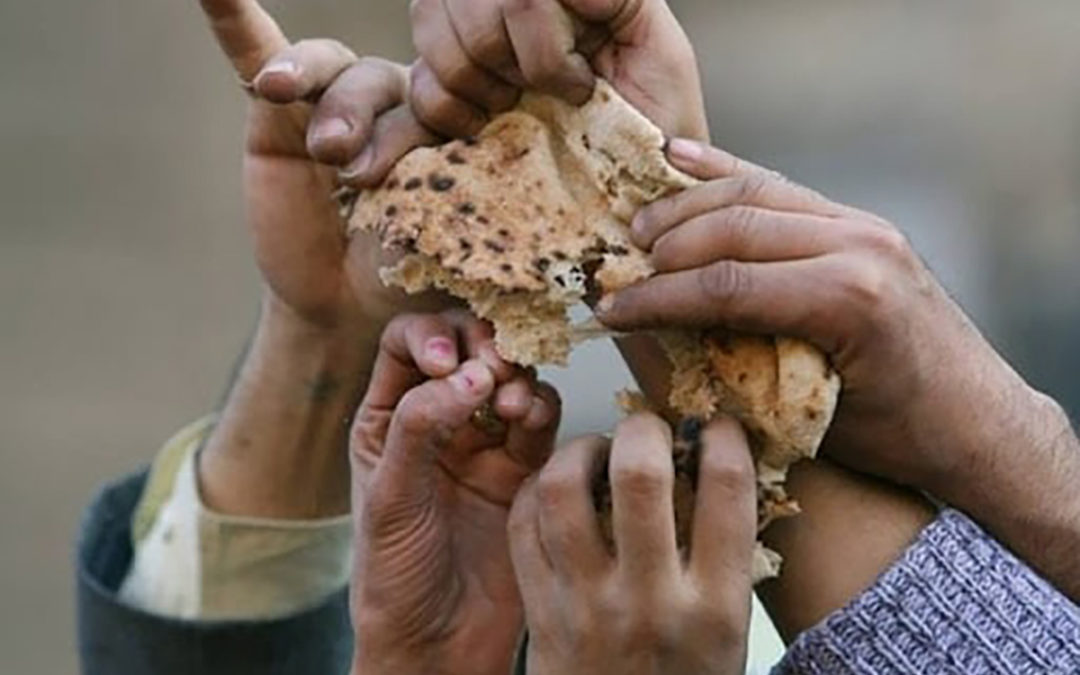 maja3a bread