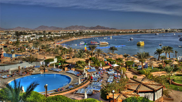 SHARM1692975543