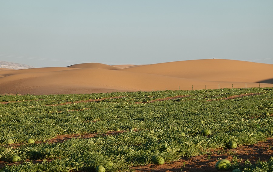 224290 جانب من نتائج التجارب1707414123