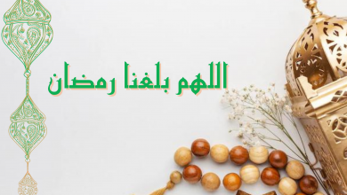 الجزء الأخير 31709911983