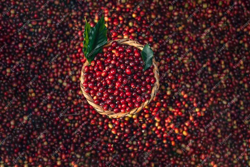 cherry coffee beans background bucket 213396 74681713894245