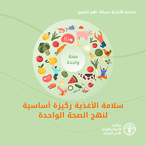 06 FAO food safety square size