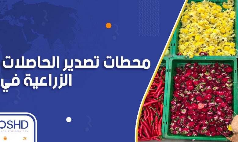 محطات تصدير الحاصلات الزراعية1715669764