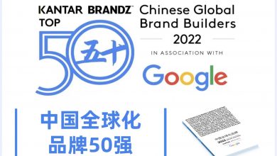 chinese global brand builders 20221718262783