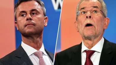 norbert hofer alexander van bellen1719242824