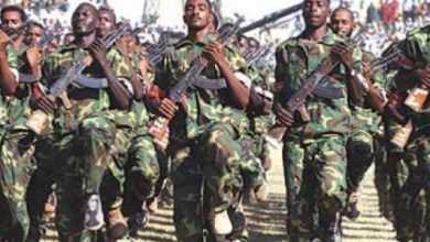 عيد القوات المسلحة السودانية1717499945