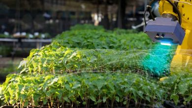 Top 10 Applications of Artificial Intelligence AI in Agriculture 31720952043