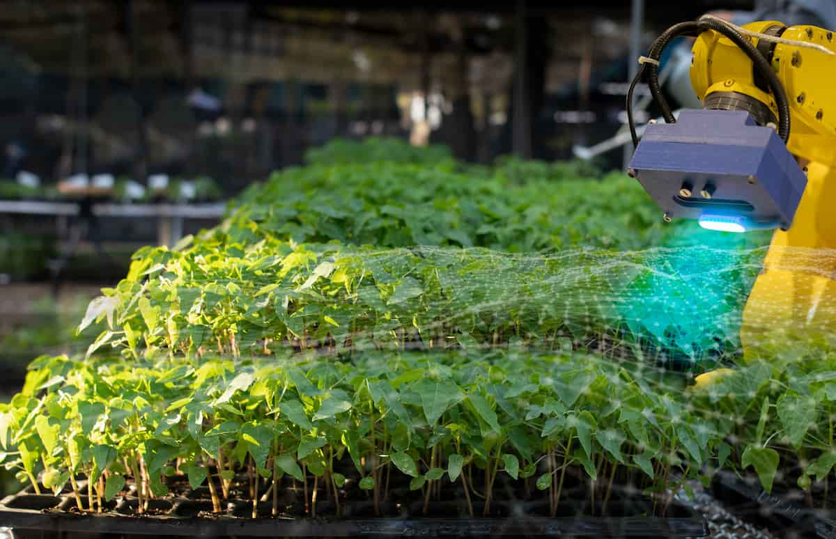 Top 10 Applications of Artificial Intelligence AI in Agriculture 31720952043