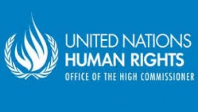 ما هي مفوضية الأمم المتحدة السامية لحقوق الإنسان ؟1721414344