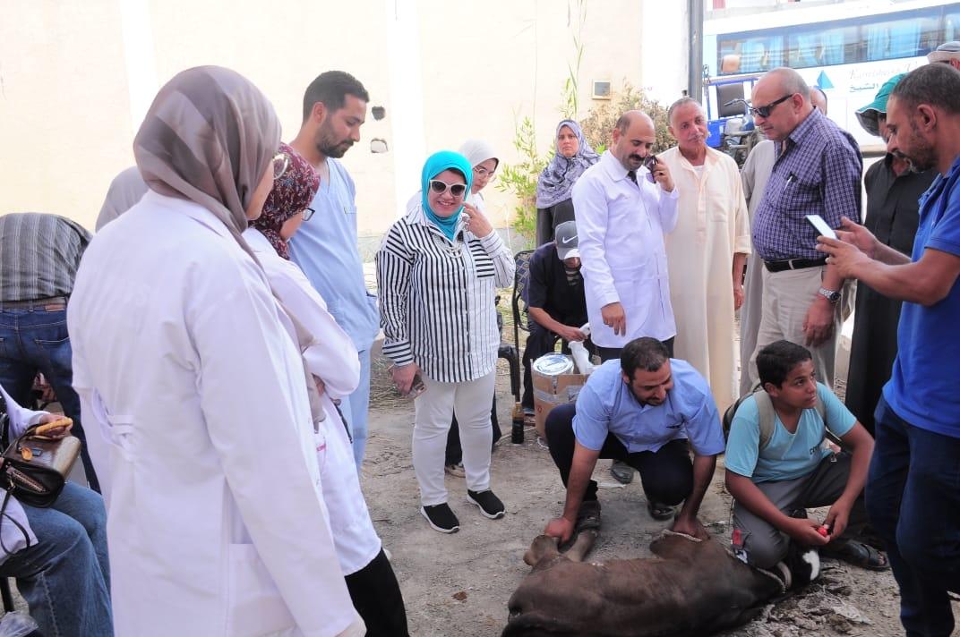 جامعة كفر الشيخ تطلق قافلة طبية وبيطري