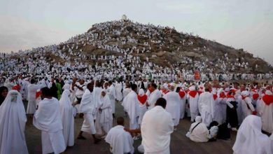 133 192516 egypt licenses 36 hajj season 700x4001724782265