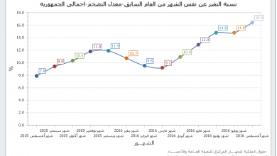 30489 تطور التضخم خلال سنة1723461303