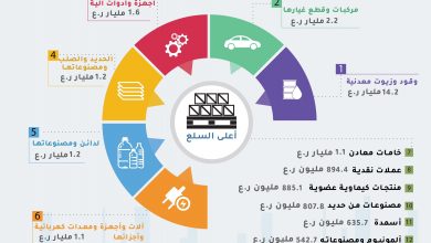 IMG ٢٠٢٢٠٦١٣ ٠٩٥٢٣١1724494804