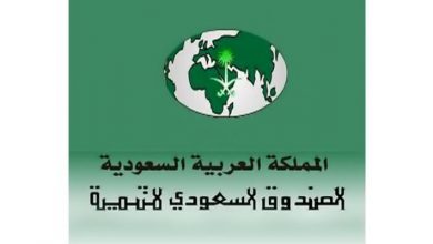 الصندوق السعودي للتنمية 740x4001723459384