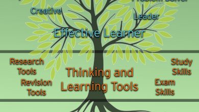 LEarning Tree1726340164