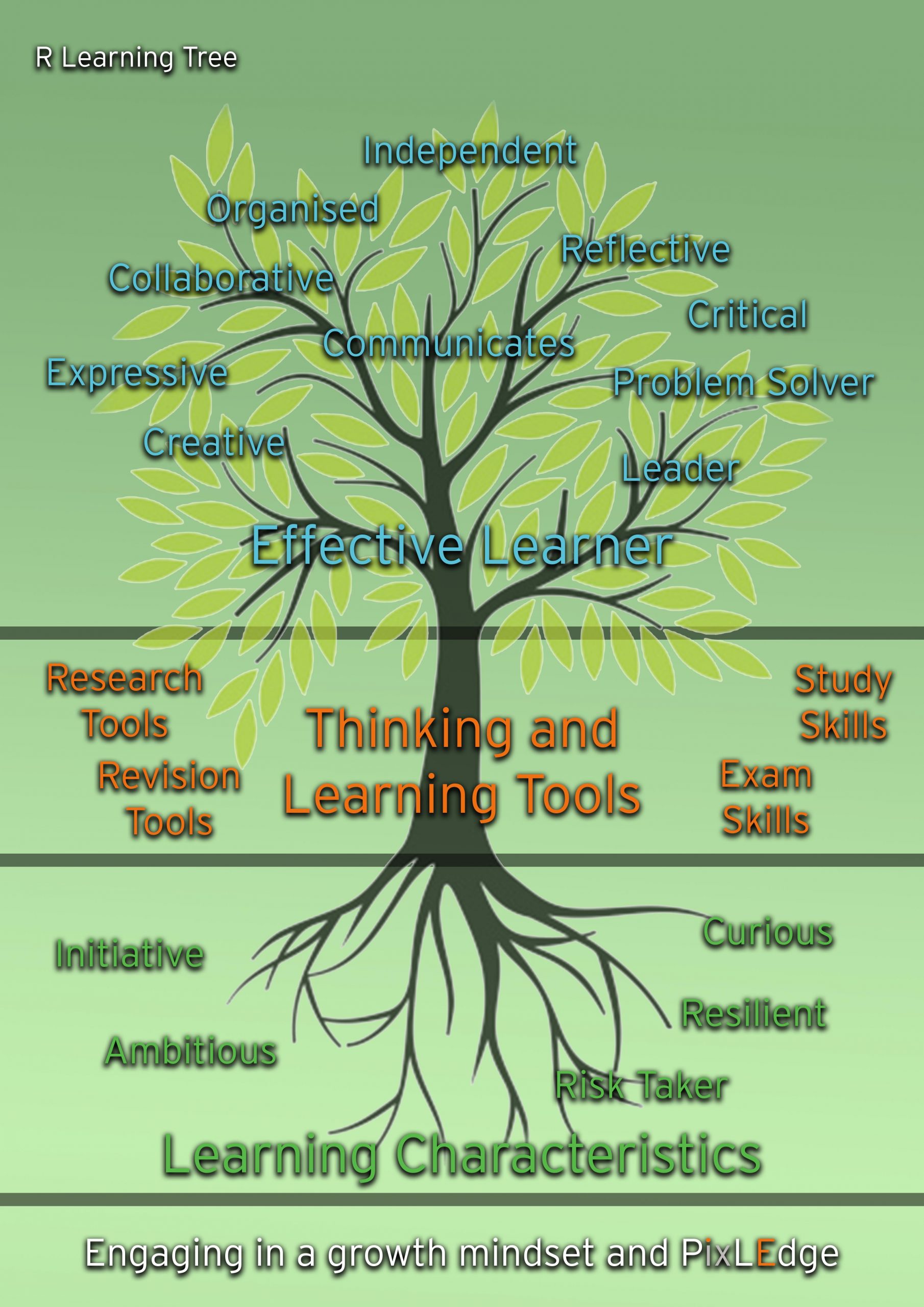 LEarning Tree1726340164 scaled