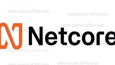 Netcore Logo1727257145