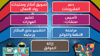 ريادة الاعمال 20301725378603