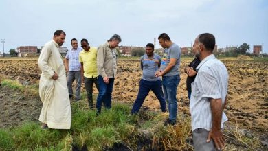 Leaders of the Ministry of Environment in field tours in the governorates of the rice straw system 780x4701727947865