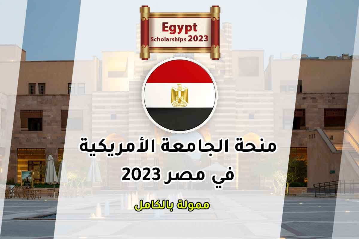 auc scholarship in egypt 20231731744602