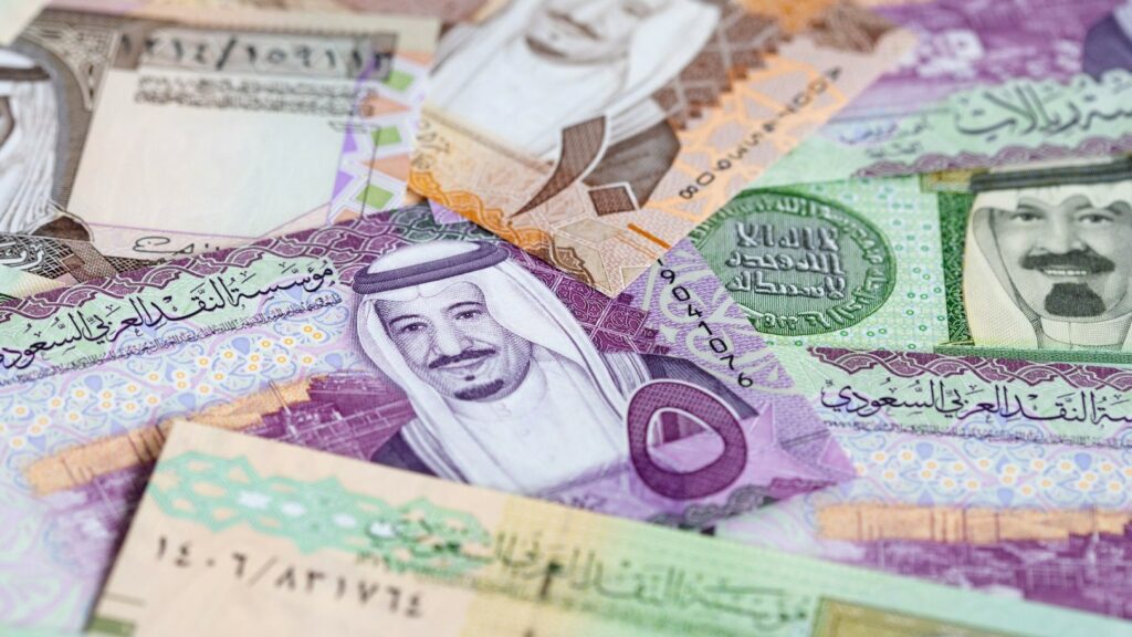 saudi riyal 11588599181733855163