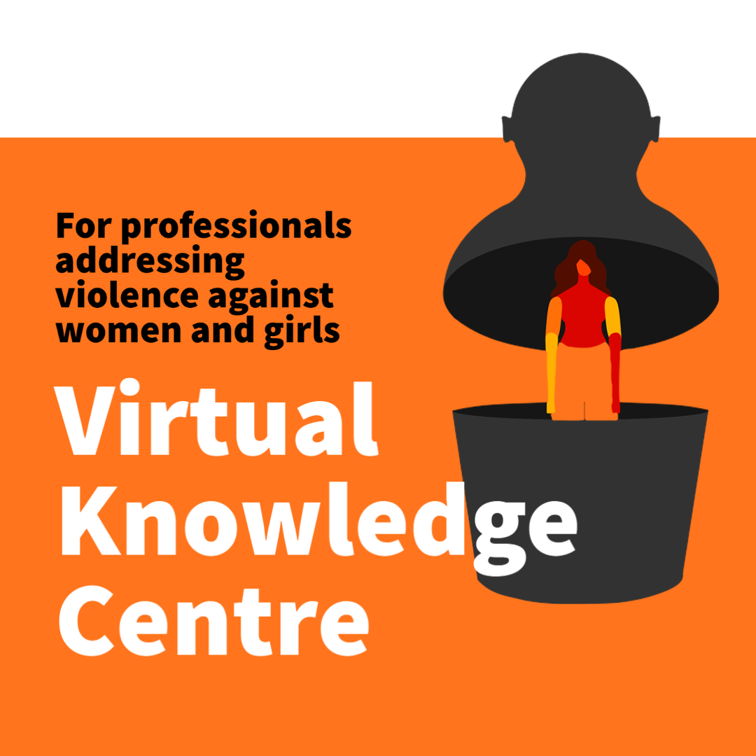 virtual knowledge centre violence against women1733041445